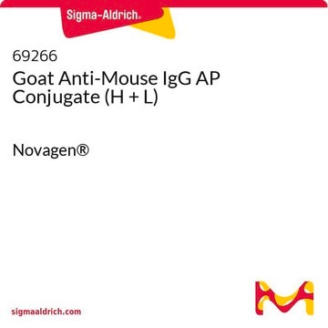 Goat Anti-Mouse IgG AP Conjugate (H + L) Novagen&#174;