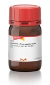 Cytochrome c from equine heart &#8805;95% based on Mol. Wt. 12,384 basis