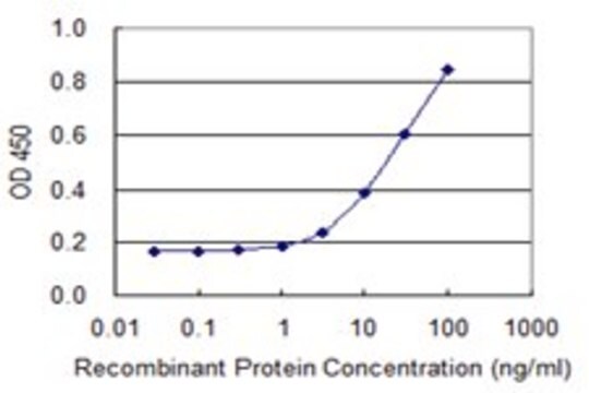 Monoclonal Anti-SNRPB2 antibody produced in mouse clone 2F4, purified immunoglobulin, buffered aqueous solution