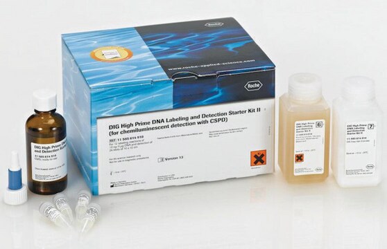 DIG-High Prime DNA Labeling and Detection Starter Kit II sufficient for 12&#160;labeling reactions (10 ng to 3 &#956;g per assay), sufficient for 24&#160;blots (blots of 100 cm2)