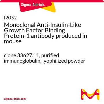 Monoclonal Anti-Insulin-Like Growth Factor Binding Protein-1 antibody produced in mouse clone 33627.11, purified immunoglobulin, lyophilized powder
