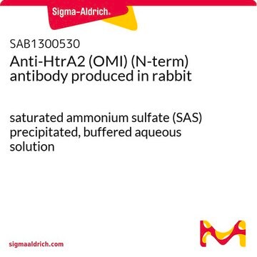 Anti-HtrA2 (OMI) (N-term) antibody produced in rabbit saturated ammonium sulfate (SAS) precipitated, buffered aqueous solution