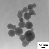 リン酸三カルシウム 水和物 nanopowder, &lt;200&#160;nm particle size (BET)