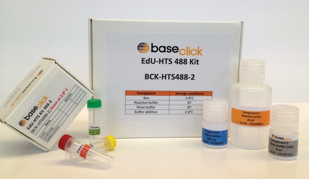 In Vivo EdU HTS 2x96 Kit 555 sufficient for 200 assays