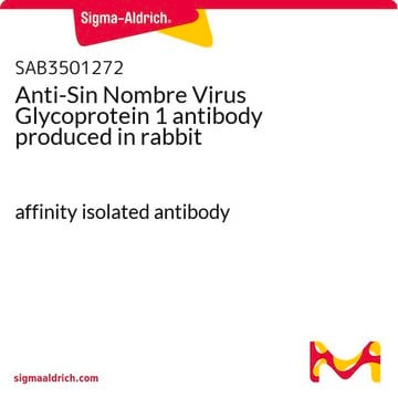 Anti-Sin Nombre Virus Glycoprotein 1 antibody produced in rabbit affinity isolated antibody