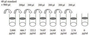 Mouse MCP-1 / CCL2 ELISA Kit for serum, plasma and cell culture supernatant