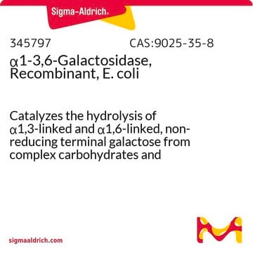 &#945;1-3,6-Galactosidase, Recombinant, E. coli Catalyzes the hydrolysis of &#945;1,3-linked and &#945;1,6-linked, non-reducing terminal galactose from complex carbohydrates and glycoproteins.