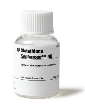 Glutathione Sepharose&#8482; 4B Cytiva 17-0756-04, pack of 300&#160;mL