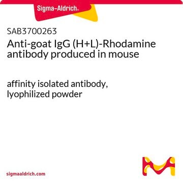 Anti-goat IgG (H+L)-Rhodamine antibody produced in mouse affinity isolated antibody, lyophilized powder