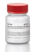Collagenase from Clostridium histolyticum suitable for release of physiologically active rat epididymal adipocytes, Type II, 0.5-5.0&#160;FALGPA units/mg solid, &#8805;125&#160;CDU/mg solid