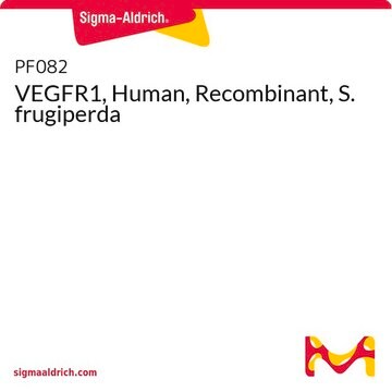 VEGFR1, Human, Recombinant, S. frugiperda