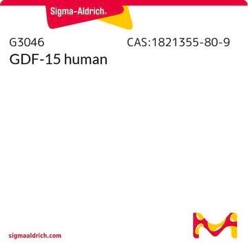 GDF-15 human