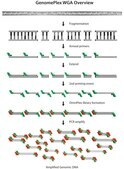 GenomePlex&#174; Whole Genome Amplification (WGA) Kit Kit for whole genome amplification from a variety of DNA sources including FFPE tissue