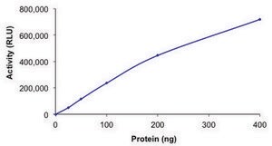 PI3K (p110-&#946;/p85-&#946;), active, His tagged human PRECISIO&#174;, recombinant, expressed in baculovirus infected Sf9 cells, &#8805;70% (SDS-PAGE), buffered aqueous glycerol solution