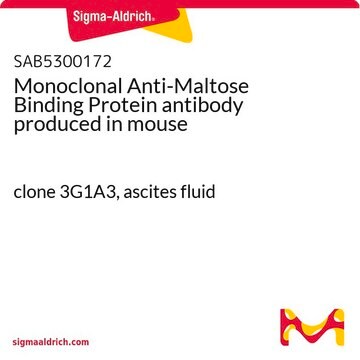 Monoclonal Anti-Maltose Binding Protein antibody produced in mouse clone 3G1A3, ascites fluid