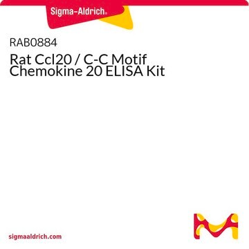 Rat Ccl20 / C-C Motif Chemokine 20 ELISA Kit