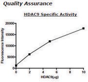 HDAC-9 human recombinant, expressed in baculovirus infected insect cells, &#8805;80% (SDS-PAGE)