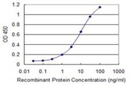 Monoclonal Anti-IMPA1 antibody produced in mouse clone 1E6-F11, purified immunoglobulin, buffered aqueous solution