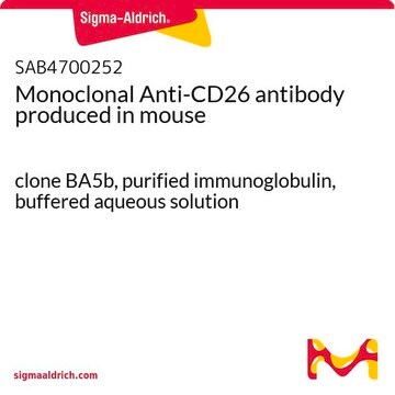 Monoclonal Anti-CD26 antibody produced in mouse clone BA5b, purified immunoglobulin, buffered aqueous solution