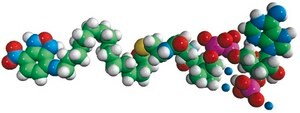 16-NBD-16:0 Coenzyme A Avanti Research&#8482; - A Croda Brand 810705P, powder