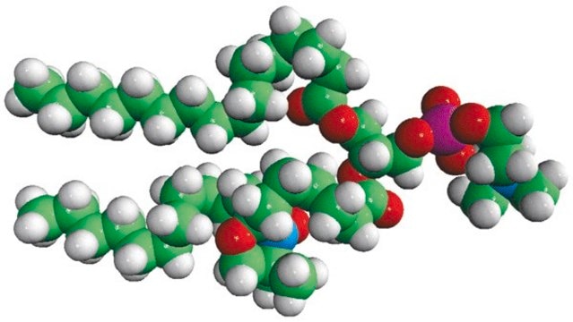 16:0-7 Doxyl PC Avanti Research&#8482; - A Croda Brand 810602P, powder