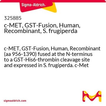 c-MET, GST-Fusion, Human, Recombinant, S. frugiperda c-MET, GST-Fusion, Human, Recombinant (aa 956-1390) fused at the N-terminus to a GST-His6-thrombin cleavage site and expressed in S. frugiperda. c-Met is a receptor tyrosine kinase activated by HGF.