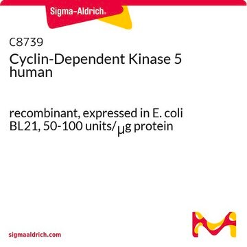 Cyclin-Dependent Kinase 5 human recombinant, expressed in E. coli BL21, 50-100&#160;units/&#956;g protein