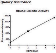 HDAC-8 human recombinant, expressed in baculovirus infected insect cells, &#8805;80% (SDS-PAGE)