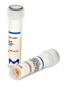 Enterococcus faecalis WDCM 00009 Vitroids&#8482; 80-130 CFU mean value range, certified reference material, suitable for microbiology, Manufactured by: Sigma-Aldrich Production GmbH, Switzerland