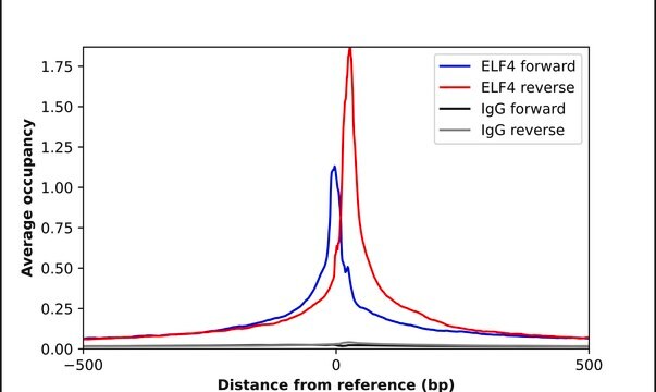 Anti-ELF4 antibody produced in rabbit Prestige Antibodies&#174; Powered by Atlas Antibodies, affinity isolated antibody