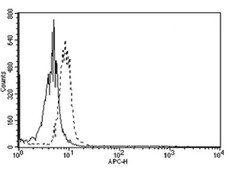 Anti-Topoisomerase I-DNA Covalent Complexes Antibody, clone 1.1A clone 1.1A, from mouse