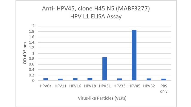 Anti- HPV45 Antibody, clone H45.N5
