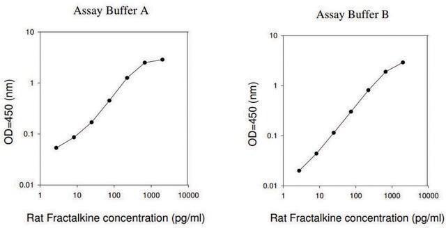 Rat Fractalkine ELISA Kit for serum, plasma and cell culture supernatant