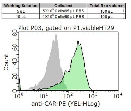 Milli-Mark&#174; Anti-CAR-PE Antibody, clone RmcB clone RmcB, Milli-Mark&#174;, from mouse