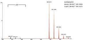 SILu&#8482;Prot VEGFA&nbsp;Vascular endothelial growth factor A human recombinant, expressed in HEK 293 cells, SIL MS Protein Standard, 13C- and 15N-labeled