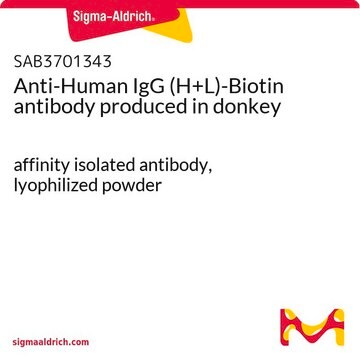 Anti-Human IgG (H+L)-Biotin antibody produced in donkey affinity isolated antibody, lyophilized powder