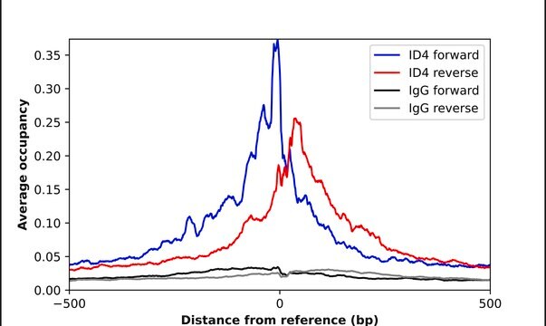 Anti-ID4 antibody produced in rabbit Prestige Antibodies&#174; Powered by Atlas Antibodies, affinity isolated antibody