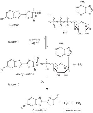 Adenosine 5&#8242;-triphosphate (ATP) assay mix dilution buffer lyophilized powder