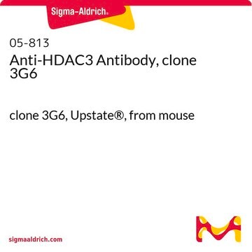 Anti-HDAC3 Antibody, clone 3G6 clone 3G6, Upstate&#174;, from mouse