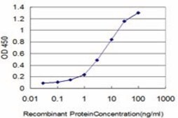 ANTI-FGR antibody produced in mouse clone 3F2, purified immunoglobulin, buffered aqueous solution