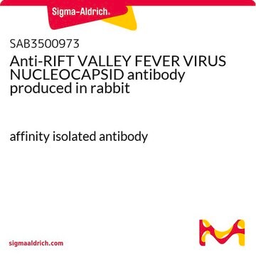 Anti-RIFT VALLEY FEVER VIRUS NUCLEOCAPSID antibody produced in rabbit affinity isolated antibody