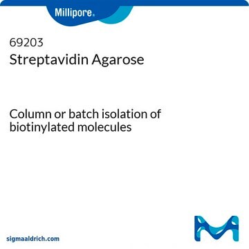 Streptavidin Agarose Column or batch isolation of biotinylated molecules