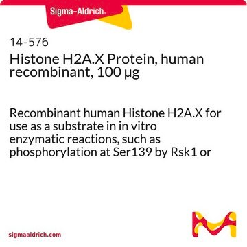 Histone H2A.X Protein, human recombinant, 100 &#181;g Recombinant human Histone H2A.X for use as a substrate in in vitro enzymatic reactions, such as phosphorylation at Ser139 by Rsk1 or MSK1.