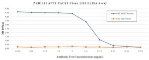Anti-VAChT Antibody, clone 1J10 ZooMAb&#174; Rabbit Monoclonal recombinant, expressed in HEK 293 cells