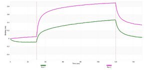 Anti-phospho Lyn (Tyr507) Antibody, clone 1I11 ZooMAb&#174; Rabbit Monoclonal recombinant, expressed in HEK 293 cells