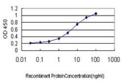 ANTI-TEK antibody produced in mouse clone 2G2, purified immunoglobulin, buffered aqueous solution