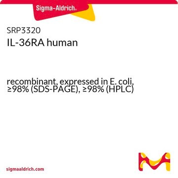 IL-36RA human recombinant, expressed in E. coli, &#8805;98% (SDS-PAGE), &#8805;98% (HPLC)