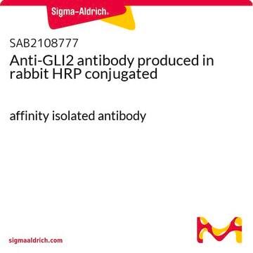 Anti-GLI2 antibody produced in rabbit HRP conjugated affinity isolated antibody