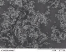 Reduced graphene oxide tetraethylene pentamine functionalized