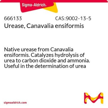 Urease, Canavalia ensiformis Native urease from Canavalia ensiformis. Catalyzes hydrolysis of urea to carbon dioxide and ammonia. Useful in the determination of urea in body fluids. Note: 1 KU = 1000 units.